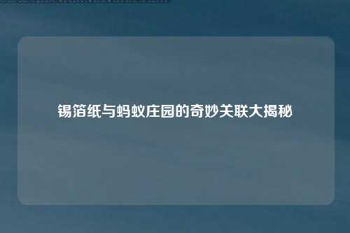 锡箔纸与蚂蚁庄园的奇妙关联大揭秘