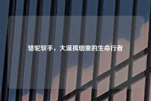骆驼驭手，大漠孤烟里的生命行者