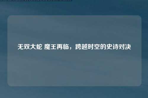 无双大蛇 魔王再临，跨越时空的史诗对决