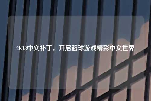 2K13中文补丁，开启篮球游戏精彩中文世界
