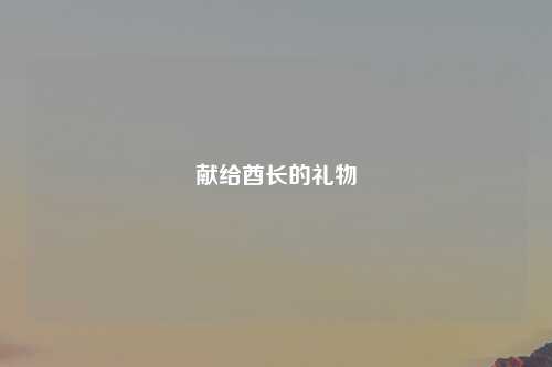 献给酋长的礼物