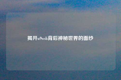 揭开u9wsh背后神秘世界的面纱