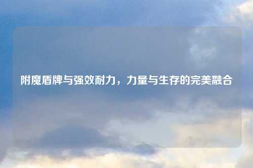 附魔盾牌与强效耐力，力量与生存的完美融合