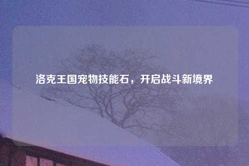 洛克王国宠物技能石，开启战斗新境界