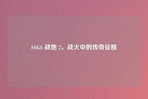 SAGA 战地 2，战火中的传奇征程