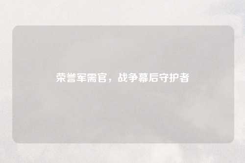 荣誉军需官，战争幕后守护者