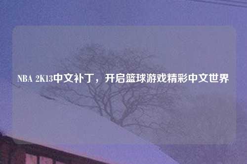 NBA 2K13中文补丁，开启篮球游戏精彩中文世界