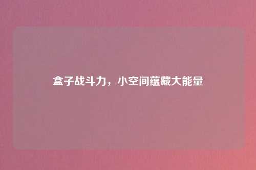 盒子战斗力，小空间蕴藏大能量