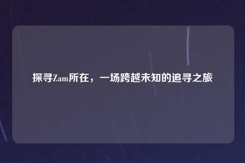探寻Zam所在，一场跨越未知的追寻之旅