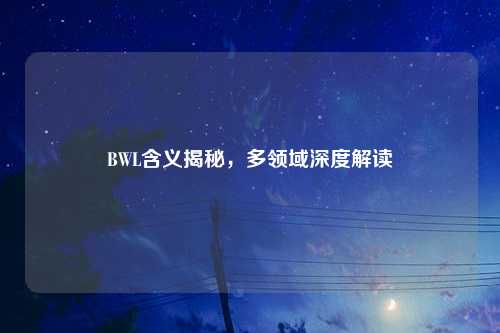 BWL含义揭秘，多领域深度解读