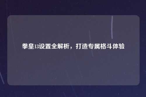 拳皇13设置全解析，打造专属格斗体验