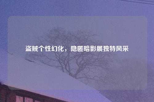 盗贼个性幻化，隐匿暗影展独特风采