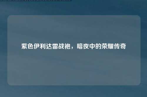 紫色伊利达雷战袍，暗夜中的荣耀传奇