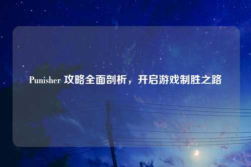 Punisher 攻略全面剖析，开启游戏制胜之路
