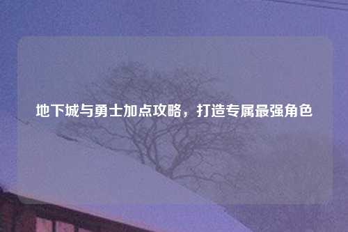 地下城与勇士加点攻略,打造专属最强角色