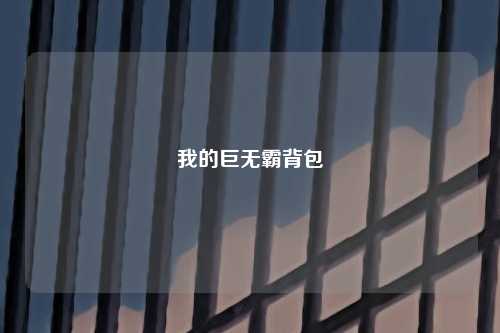 我的巨无霸背包