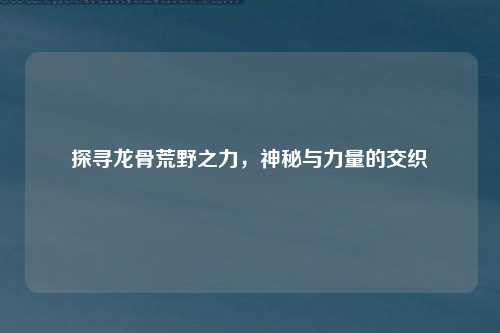 探寻龙骨荒野之力,神秘与力量的交织