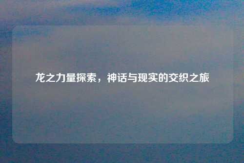 龙之力量探索,神话与现实的交织之旅