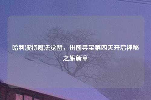 哈利波特魔法觉醒,拼图寻宝第四天开启神秘之旅新章