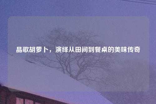 晶歌胡萝卜,演绎从田间到餐桌的美味传奇