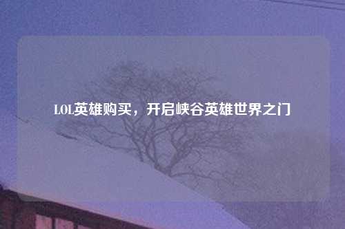 LOL英雄购买,开启峡谷英雄世界之门