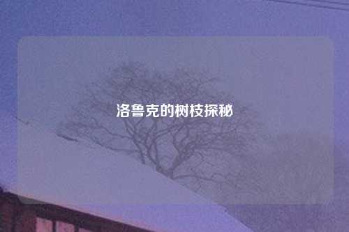 洛鲁克的树枝探秘