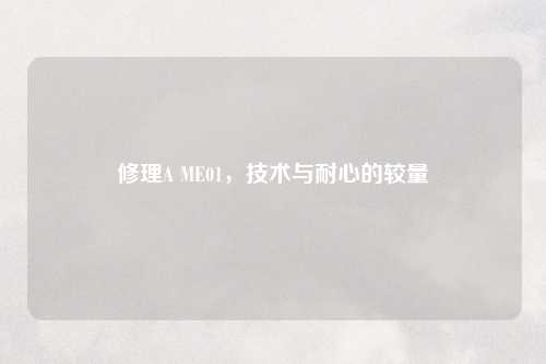修理A ME01,技术与耐心的较量