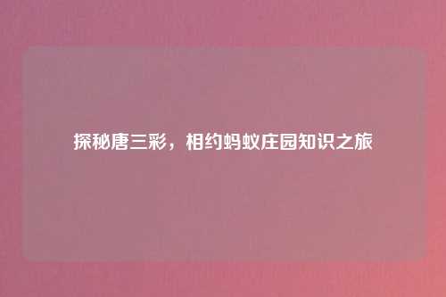 探秘唐三彩，相约蚂蚁庄园知识之旅