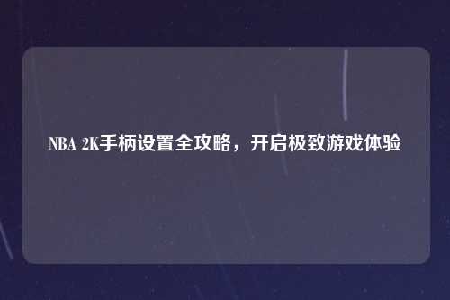 NBA 2K手柄设置全攻略,开启极致游戏体验