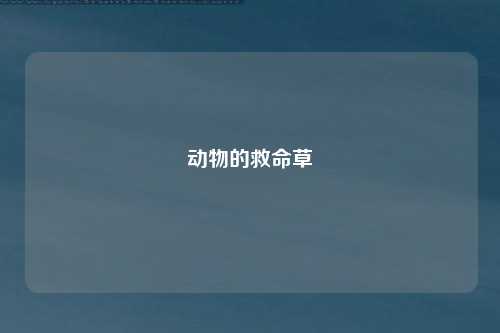 动物的救命草