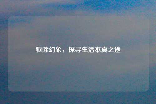 驱除幻象,探寻生活本真之途