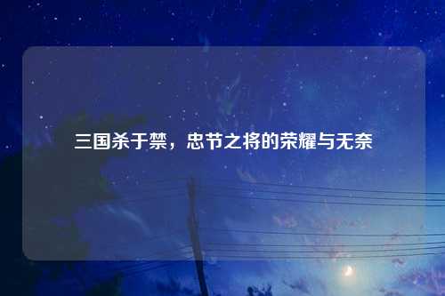 三国杀于禁,忠节之将的荣耀与无奈