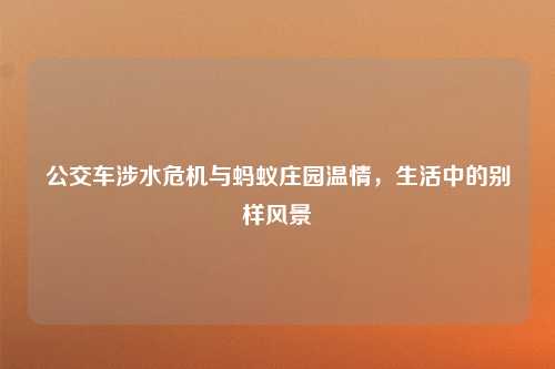 公交车涉水危机与蚂蚁庄园温情，生活中的别样风景