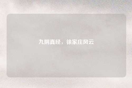 九阴真经，徐家庄风云