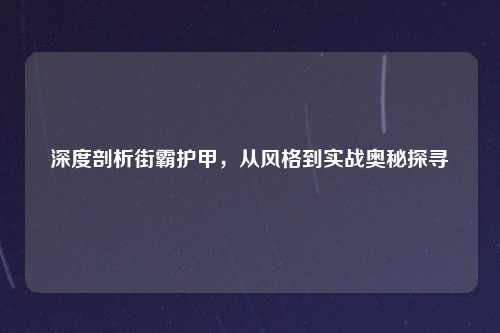深度剖析街霸护甲,从风格到实战奥秘探寻