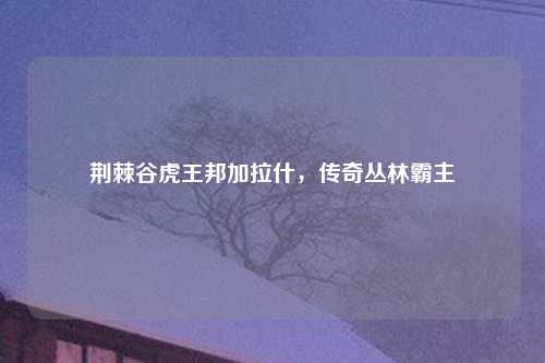 荆棘谷虎王邦加拉什，传奇丛林霸主