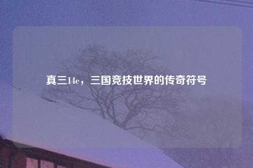 真三14e,三国竞技世界的传奇符号