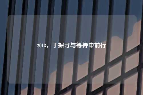 2013,于探寻与等待中前行