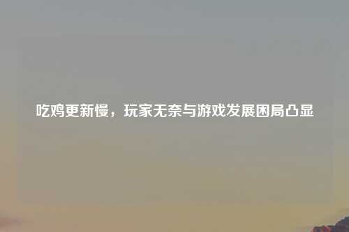 吃鸡更新慢,玩家无奈与游戏发展困局凸显