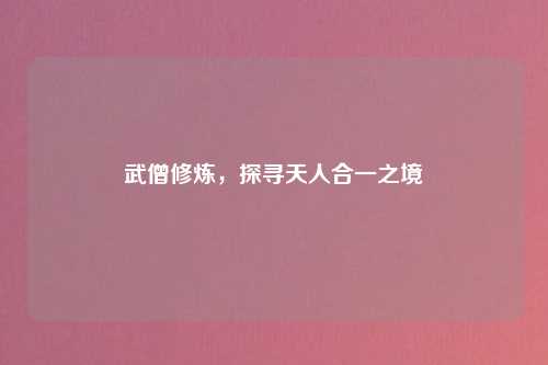 武僧修炼,探寻天人合一之境