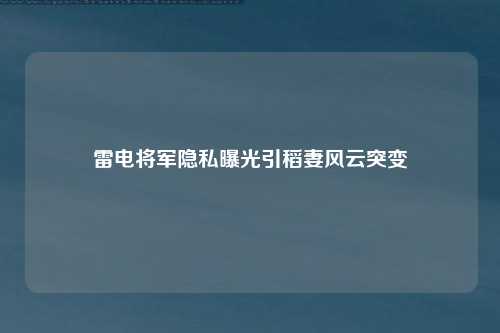 雷电将军隐私曝光引稻妻风云突变