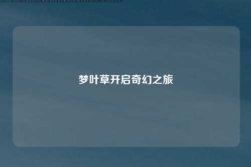 梦叶草开启奇幻之旅