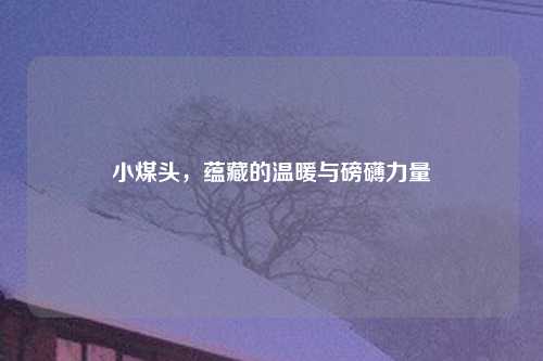 小煤头,蕴藏的温暖与磅礴力量