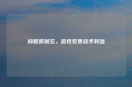 闷棍抓贼宏,游戏世界战术利器