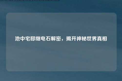 池中宅邸继电石解密,揭开神秘世界真相