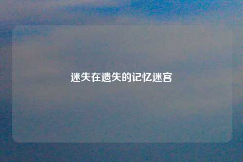 迷失在遗失的记忆迷宫