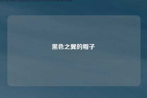 黑色之翼的帽子