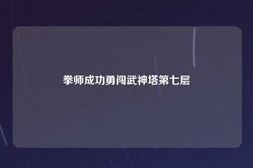 拳师成功勇闯武神塔第七层