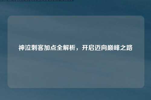 神泣刺客加点全解析,开启迈向巅峰之路