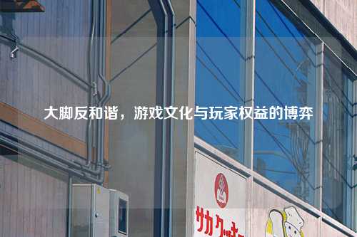 大脚反和谐,游戏文化与玩家权益的博弈